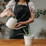 Smart Plant Pots with Automated Watering