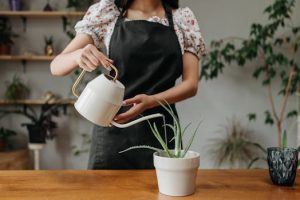 Smart Plant Pots with Automated Watering