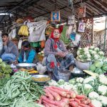 Keeping Produce Fresh: Storage Solutions That Work