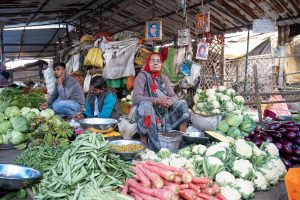 Keeping Produce Fresh: Storage Solutions That Work