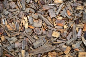 Composters: Turning Scraps into Garden Gold