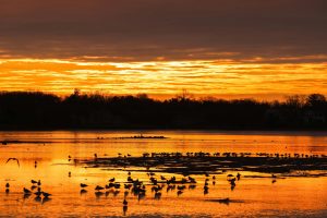 Sunset Color Palettes: Warm Hues for Every Wardrobe