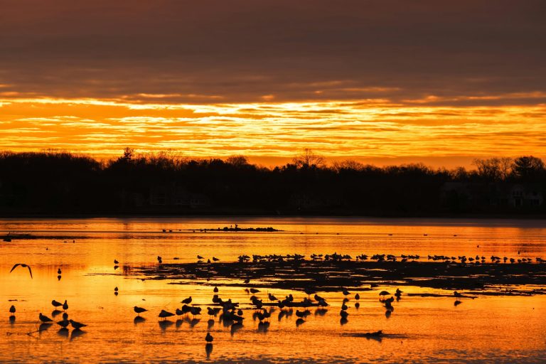 Sunset Color Palettes: Warm Hues for Every Wardrobe