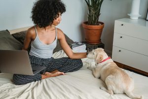 Pet Tech: Gadgets for Monitoring and Entertaining Your Pets