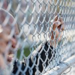 Digital Platforms for Building Empathy and Resilience