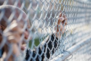 Digital Platforms for Building Empathy and Resilience