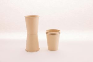 Sustainable Packaging: The New Standard for Gadgets