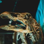 Augmented Reality in History and Science Lessons
