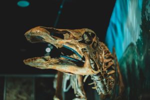 Augmented Reality in History and Science Lessons